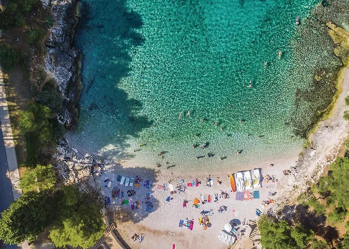 Διαμέρισμα In With Wifi *